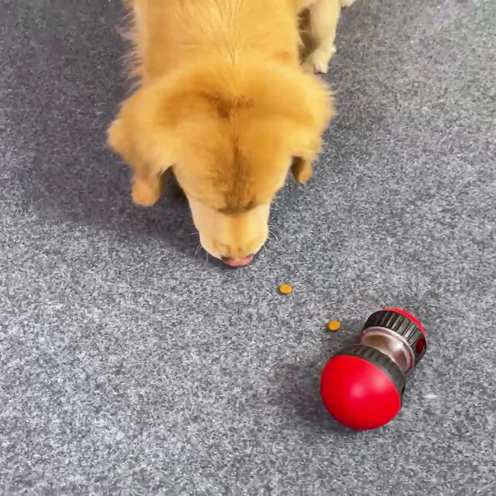 Interactive Pet Toy – Slow Feeder for Dogs & Cats, Improves IQ and Training