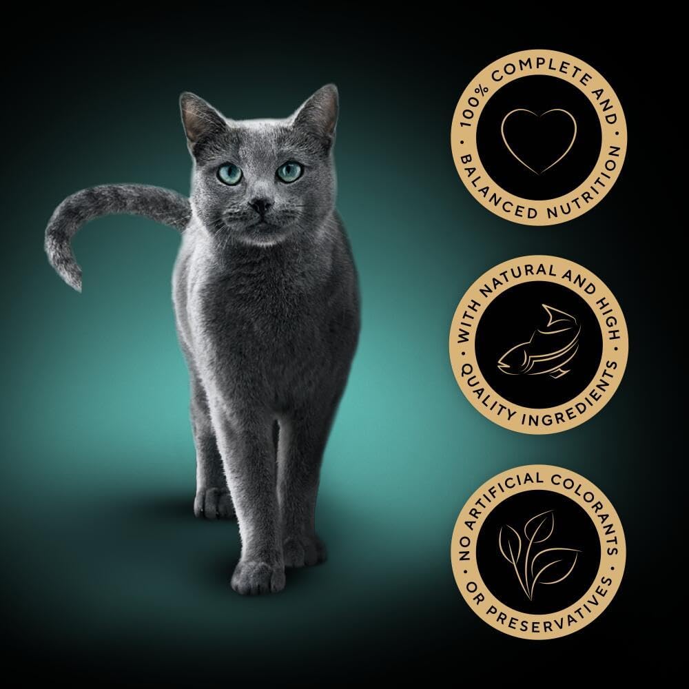 Fine Flakes in Jelly – Fish Collection – Wet Cat Food Pouches for Adult Cats – 40X85G Pack