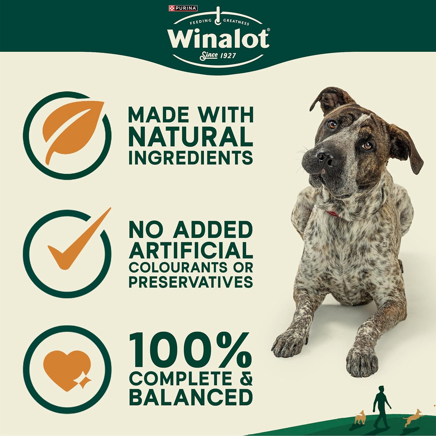 Meaty Chunks Mixed in Gravy Wet Dog Food Pouches 40X100G