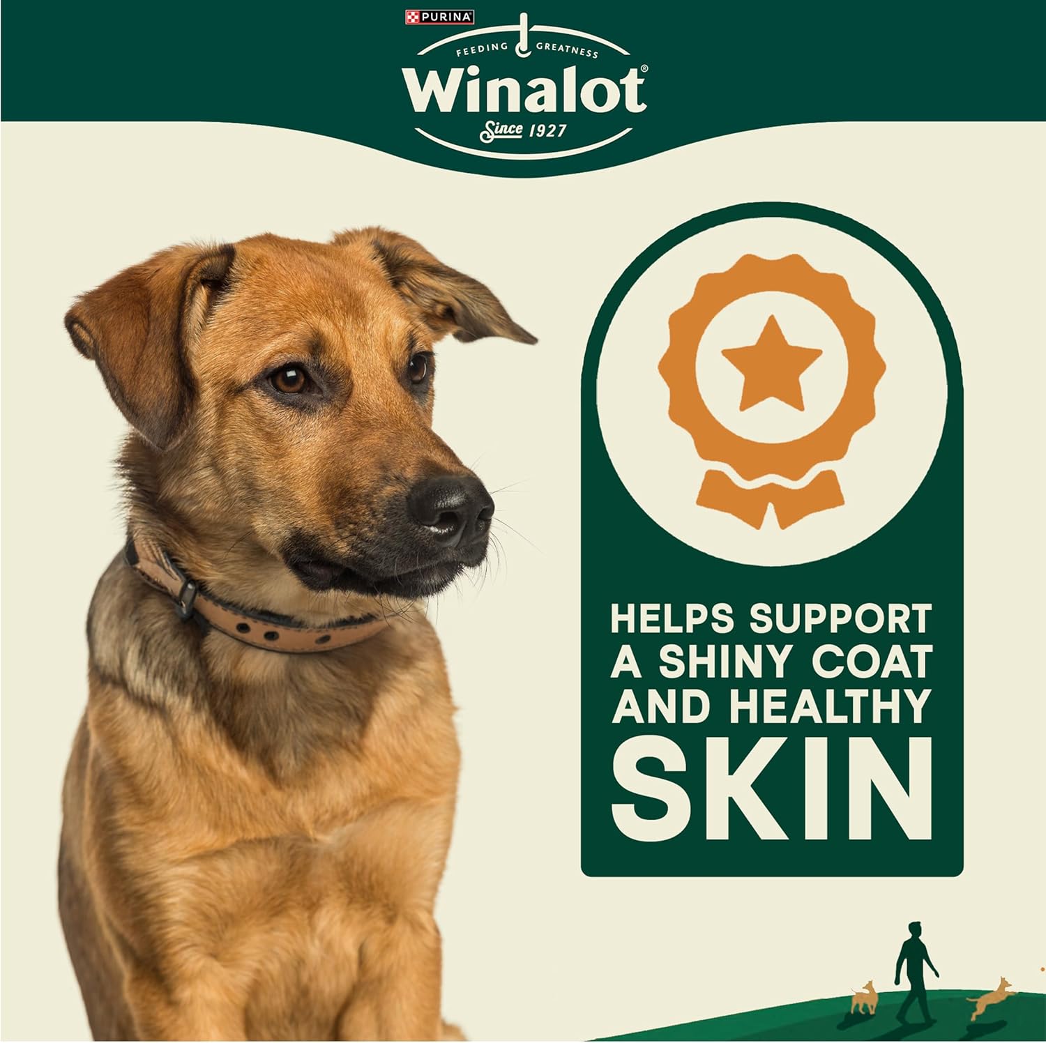Meaty Chunks Mixed in Gravy Wet Dog Food Pouches 40X100G