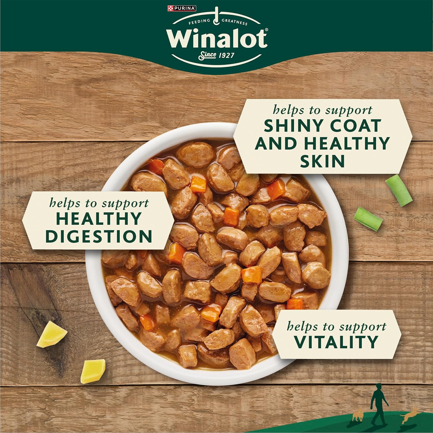 Meaty Chunks Mixed in Gravy Wet Dog Food Pouches 40X100G