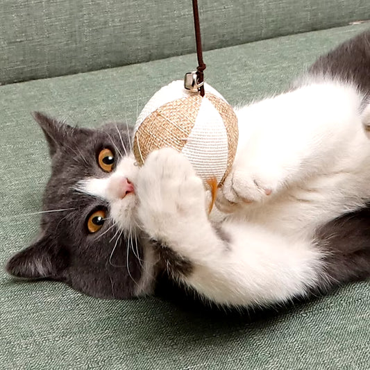 Engaging Interactive Cat Wand with Colorful Feather Teasers - Perfect for Playful Kittens!